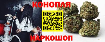 меф Гатчина