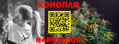 меф Гатчина