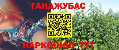 меф Гатчина