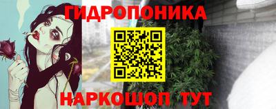 меф Гатчина