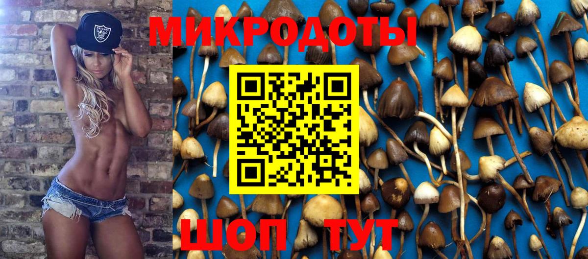 Галлюциногенные грибы Cubensis Менделеевск